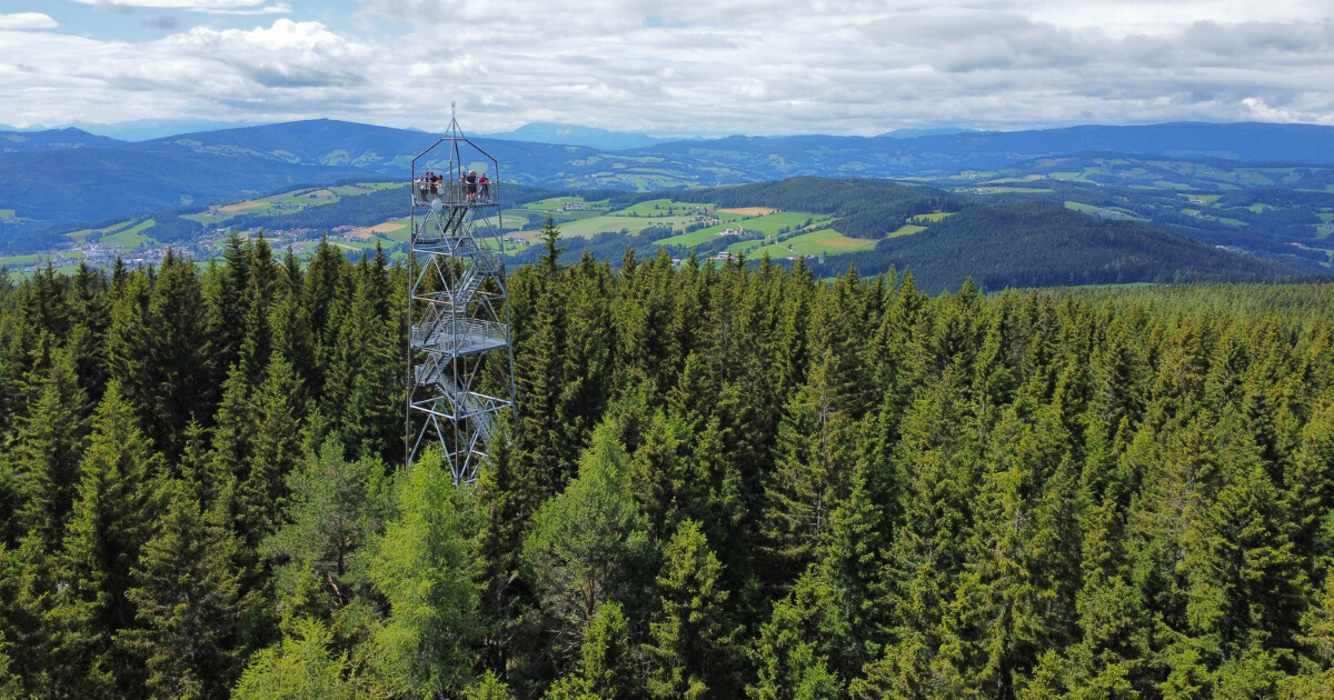 Aussichtsturm aus Stahlgitter ragt über einen dichten Wald; auf der Plattform stehen mehrere Personen und blicken ins Tal mit Feldern und Hügeln.