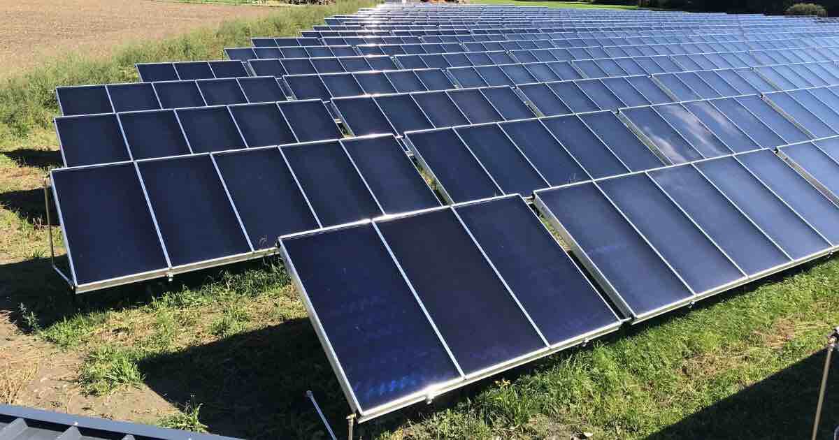Viele Solarpaneele in parallelen Reihen auf Gras in einer Freiflächen-Solaranlage unter Sonnenschein