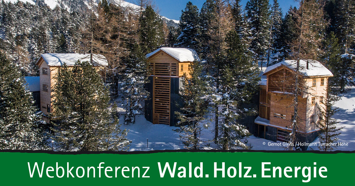 Drei Holzhäuser im verschneiten Wald, von Tannen umgeben; klare Winterlandschaft und blauer Himmel.