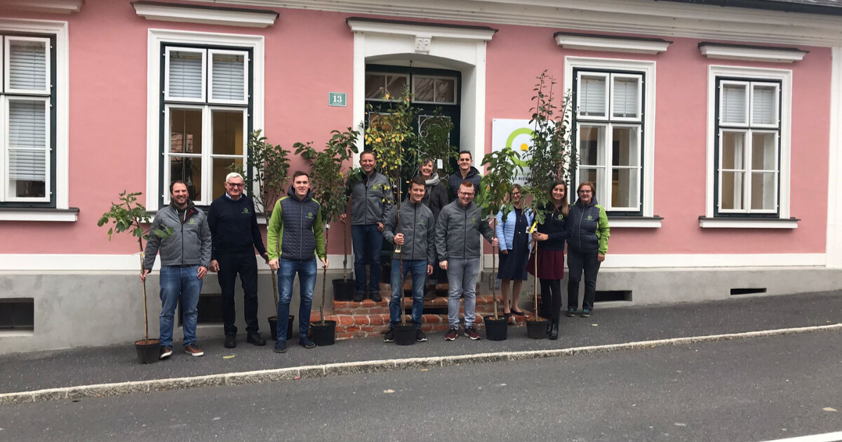 Gruppe von Personen in Jacken vor rosa Gebäude mit Fenstern; einige halten kleine Bäume in Töpfen.