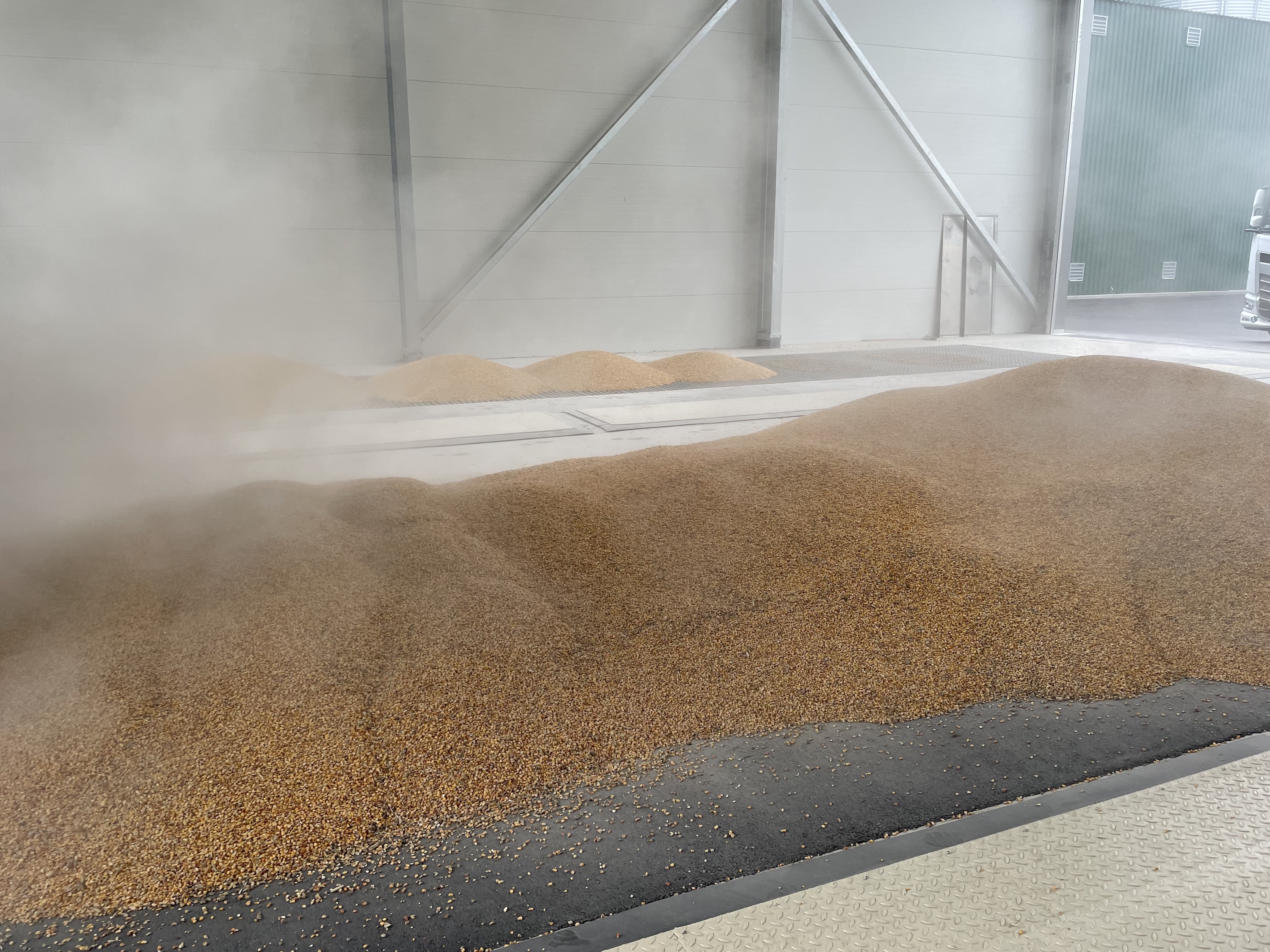 Große Haufen Getreidekörner vor einer Industriehalle; Verdunstungswolke, rechts steht ein LKW.