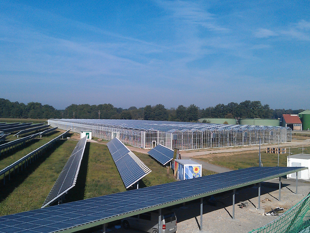 Solaranlage mit vielen Solarmodulen in Reihen, Glasgewächshäusern und umliegender Landschaft unter blauem Himmel.